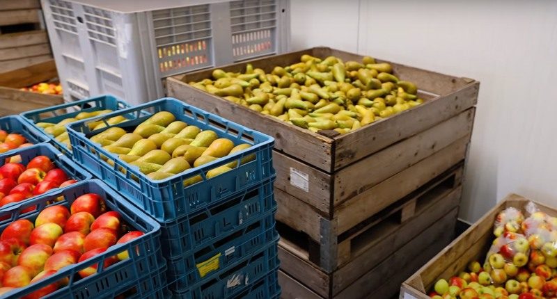 fruit-stored-in-crates-800w Various fruit stored in crates